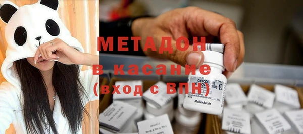 шишки Аркадак