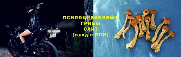 меф Арсеньев