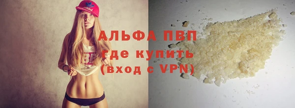 шишки Аркадак