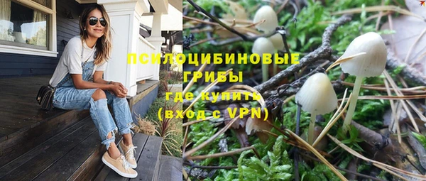 шишки Аркадак