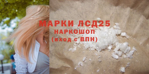 шишки Аркадак